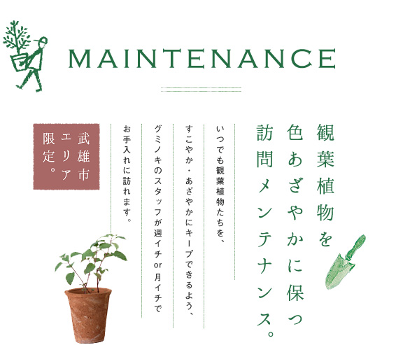 maintenance - 訪問メンテナンス