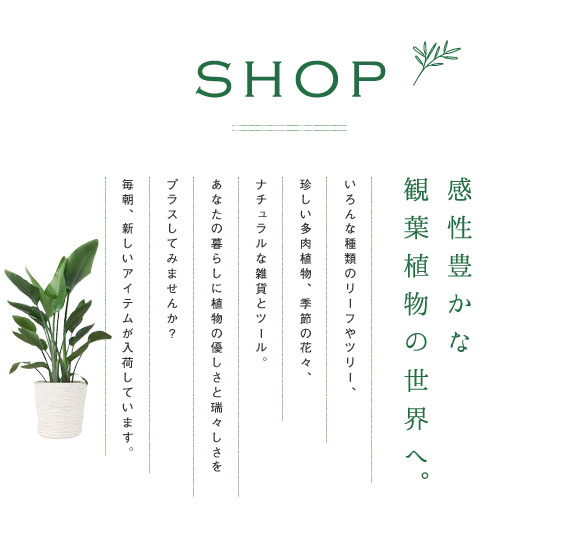 shop - ショップ