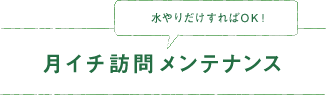 水やりだけすればOK！「月イチ訪問メンテナンス」